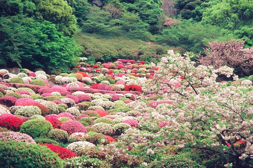 5 Hidden Gems in Japan