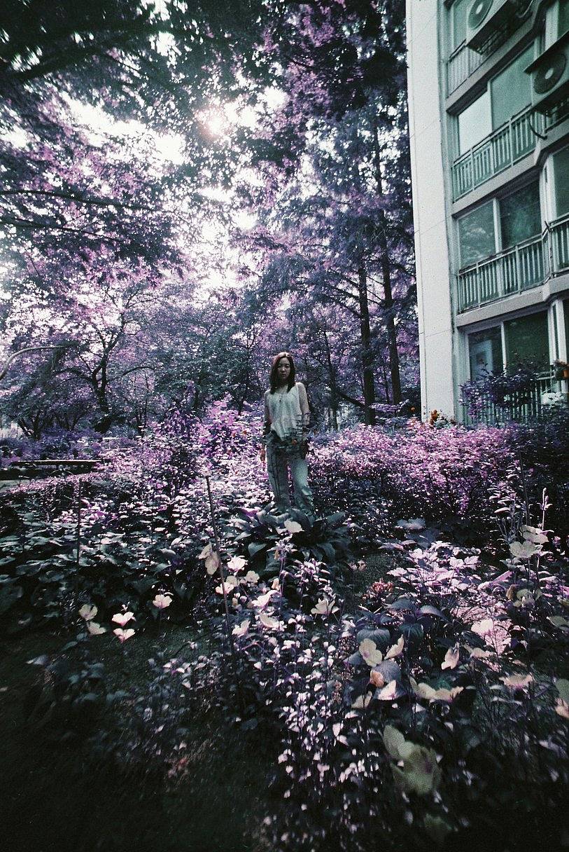 © Jiun | Lomo LC-Wide 广角胶片相机 | LomoChrome Purple ISO 100–400 135 紫调负片－ Pétillant 汽泡特別版 | Model: Hae-ro Kang