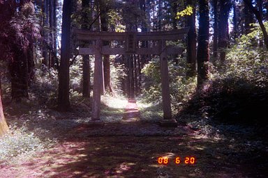 Camera: FUJI AUTO-8QD · Lomography