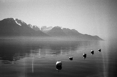 Lens: olympus mju-II 35 f2.8 · Lomography