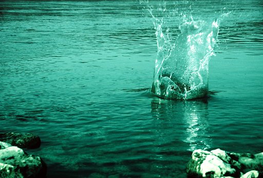 Stolen Moments from Quick Motions with High-Speed Photography
