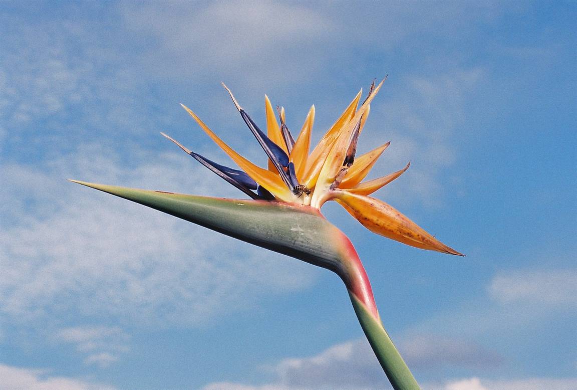 Henningschwenker is our LomoHome of the Day!