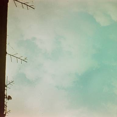 rabiuldias