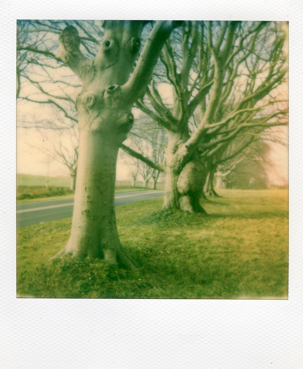 Badbury Mickedi Lomography Badbury mickedi lomography