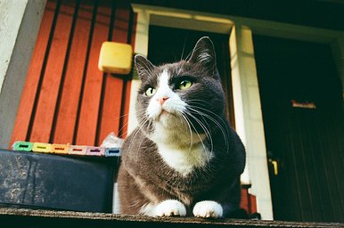 Lens: SMC Pentax-M 28mm f2.8 · Lomography