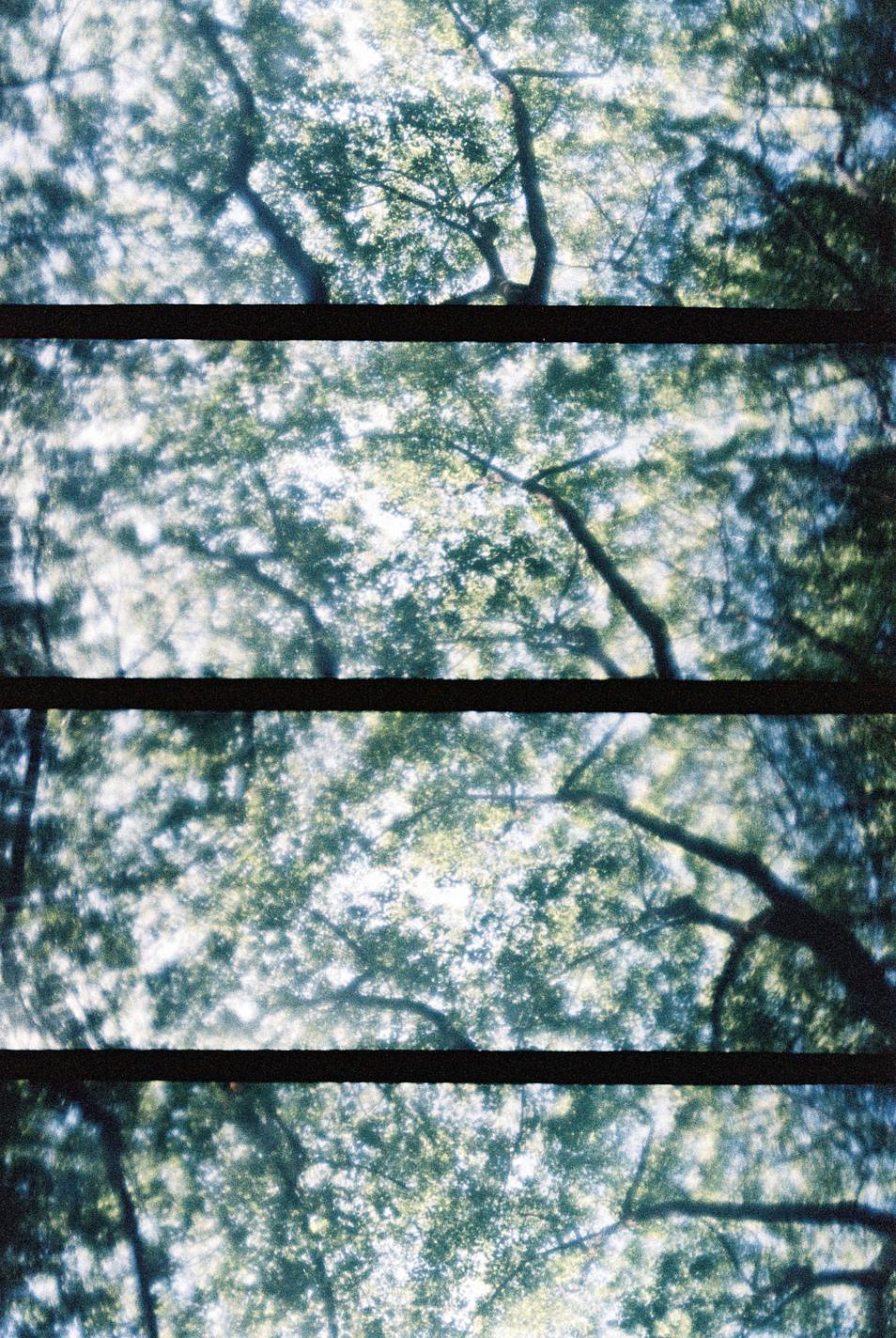 使用 LomoKino 135 手摇电影胶片相机 &amp; LomoChrome Color '92 ISO 400 135 日落版 拍摄