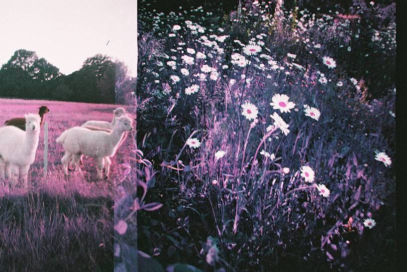 Credits: meadow_pie, mackiechartres , in_ka , hhjm, fotosdepe , squamy , provocarteur, webo29 , stratski & vicuna