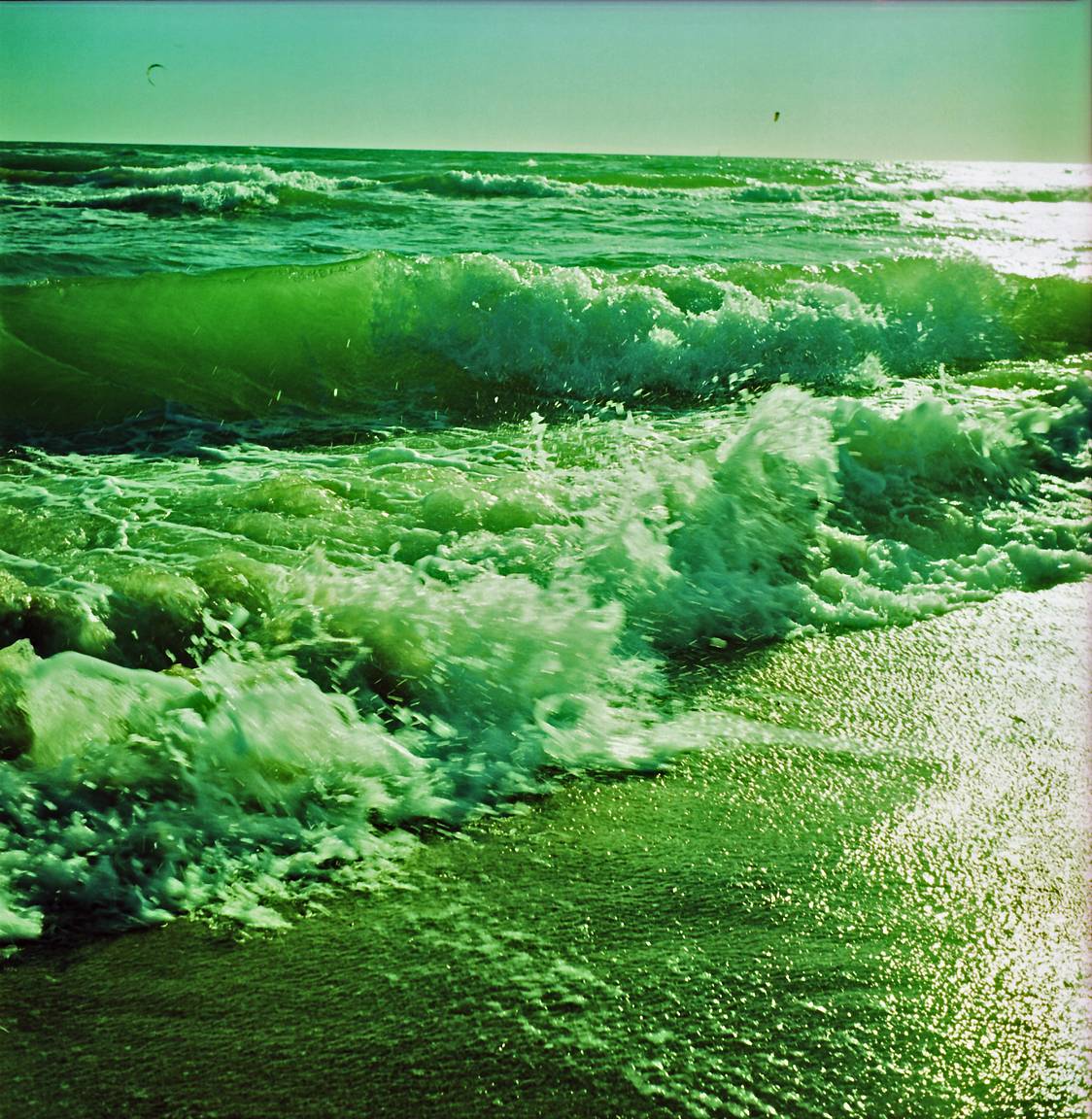 Color Chronicles: Pomona of the Regency Era  Lomography