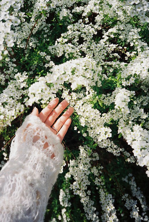 白とライトグリーンのニューカラーDiana Mini & Flash White登場