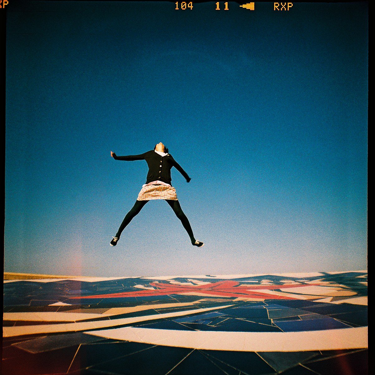 Diana Fシリーズ図鑑 · Lomography