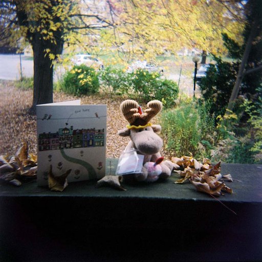 A Year in Square of Erin Woodgate