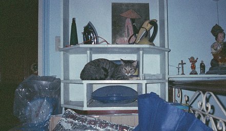 Camera: Fuji EPION 10 · Lomography Camera: Fuji EPION 10 · Lomography