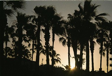 Camera: Nikon Lite Touch Zoom 110s · Lomography