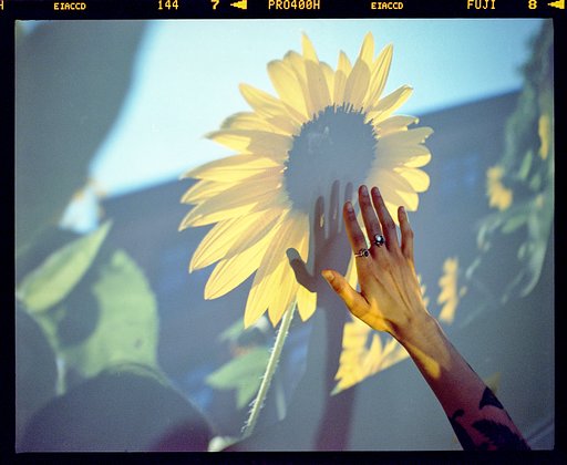 On Inspiration and Film Photography — An Interview With Brandon Aguilar