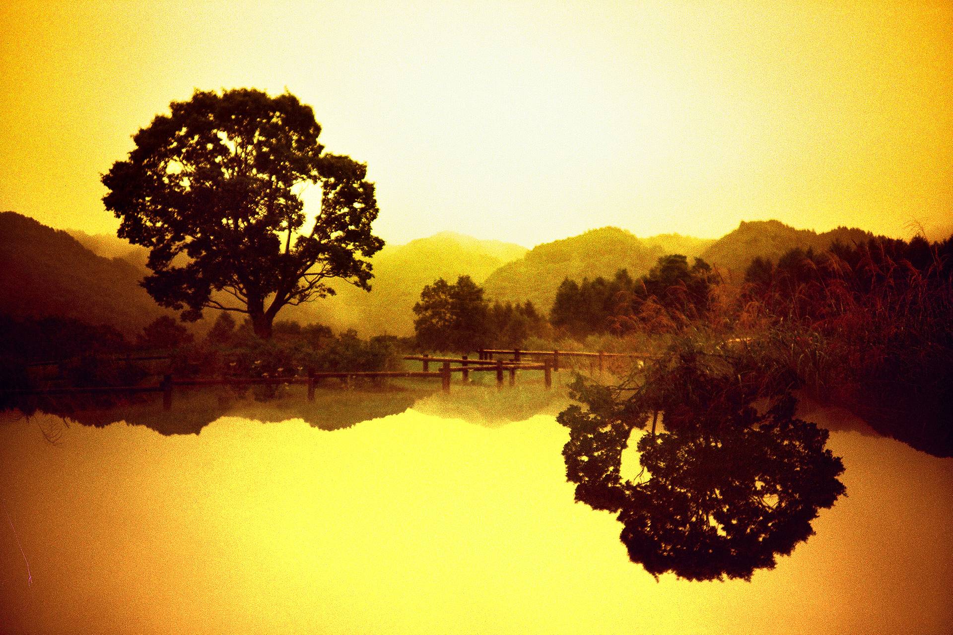 Photo by @hodachrome using a Splitzer