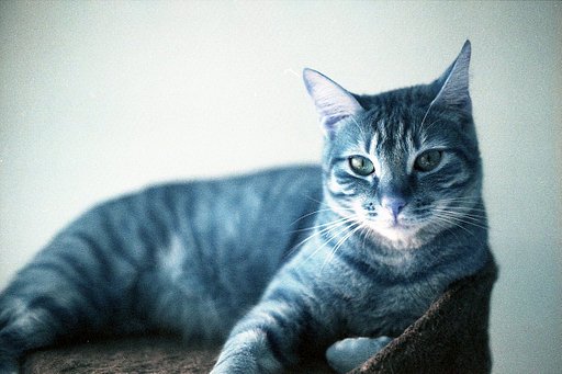 以 LomoChrome Turquoise XR 100-400 藍調特效底片改變你的世界！