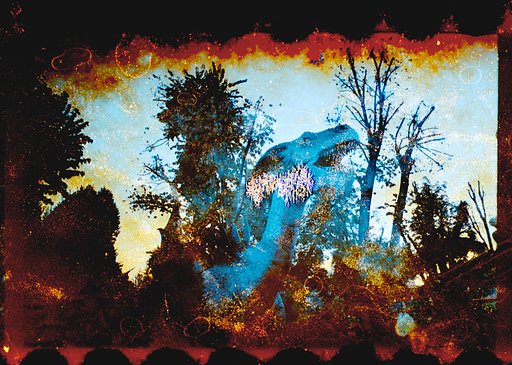Analogue and Chemical Reactions with Kimberley Ross: An Interview