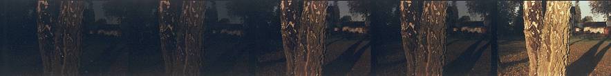 Credits: stereograph