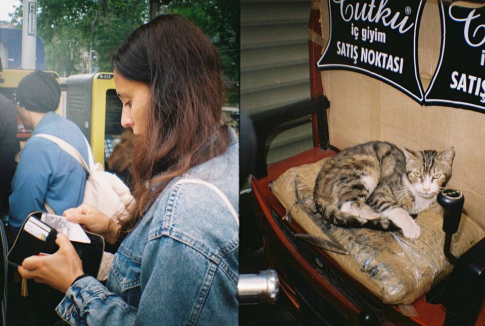 Credits: izzybennett, melissaperitore &amp; burcik