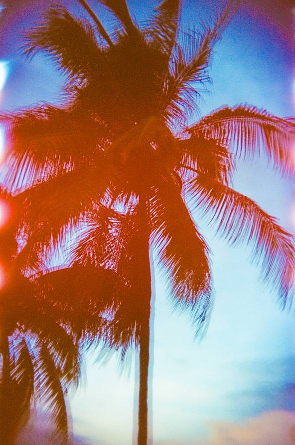 Photos by photobarbie and flimandthegirl