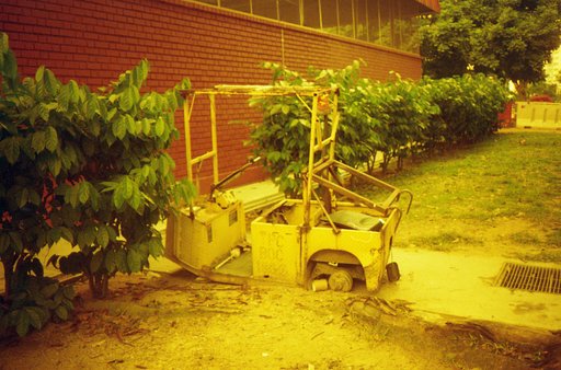Shooting With Expired Kodak UltraMax 400