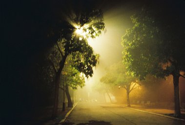 カメラ: Olympus Superzoom 70 · Lomography