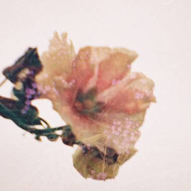 meadow_pie