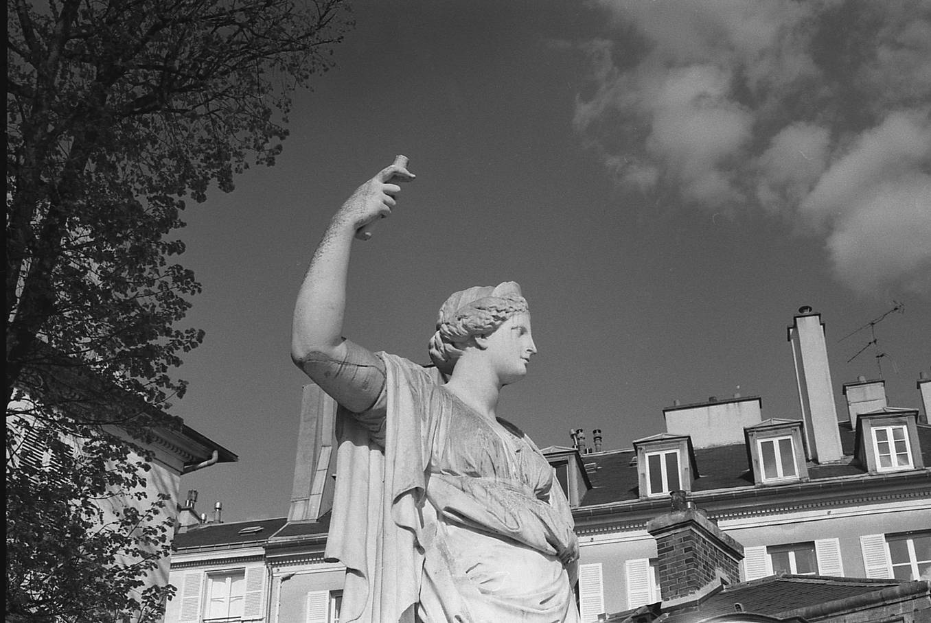 Photos by growmanfrenchy and rreeder | Shot with yellow filter