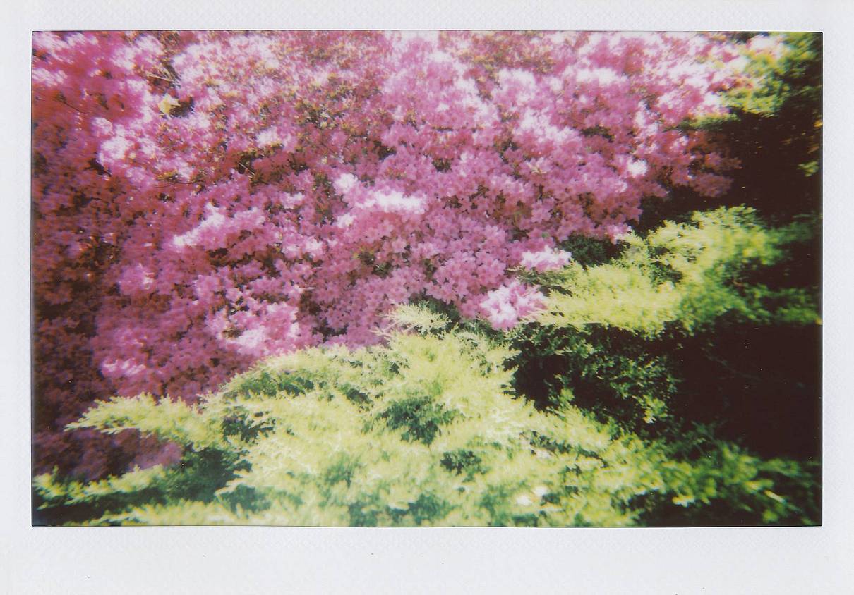 © ashrichardson650, agrimony, dpgalleries, seencity, edwinchau &amp; apf102