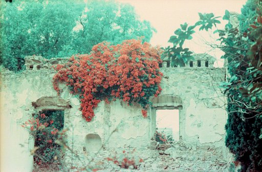 In Depth: Why We Write Love Poems in a Burning World
