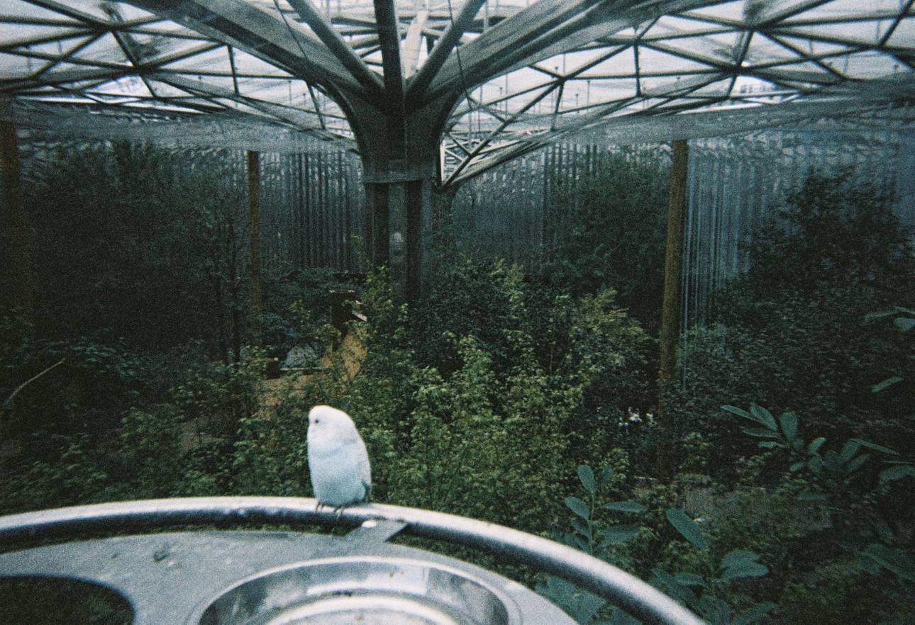 © 蒋旭妍 ｜ 使用 Lomography Simple Use 易拍胶片相机（LomoChrome 大都会负片）拍摄
