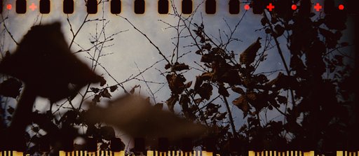 LomoAmigo Dominik Asbach Discovers the Endlessness