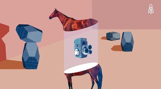 The History of Film: It All Began with a Horse