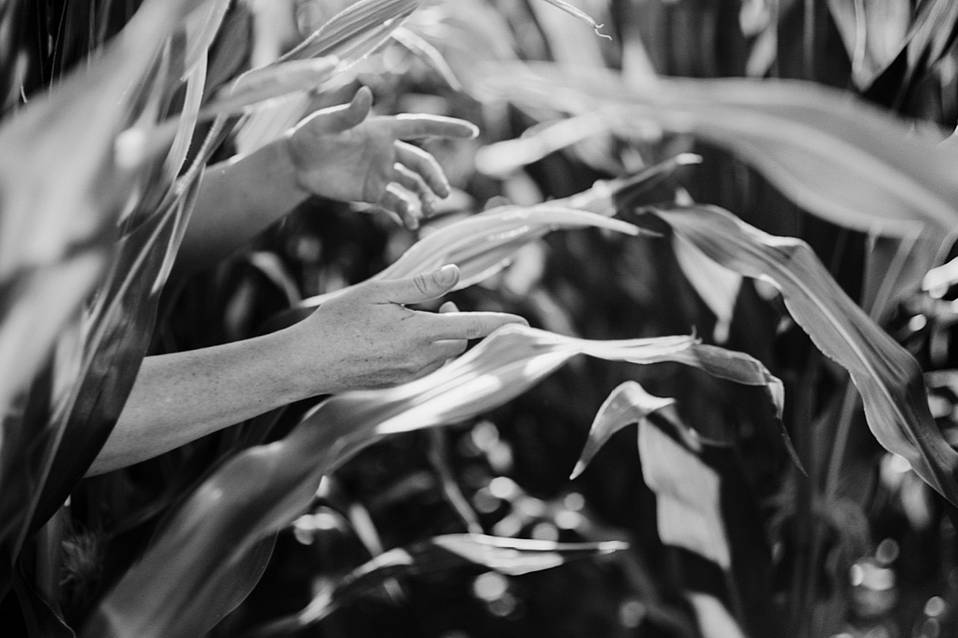 photo 1 by @emkei with Ilford Delta ISO 3200 | Photo 2 by @schpleep with Lomography Fantôme Kino B&amp;W ISO 8.