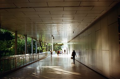 Camera: Fuji DL-60 · Lomography