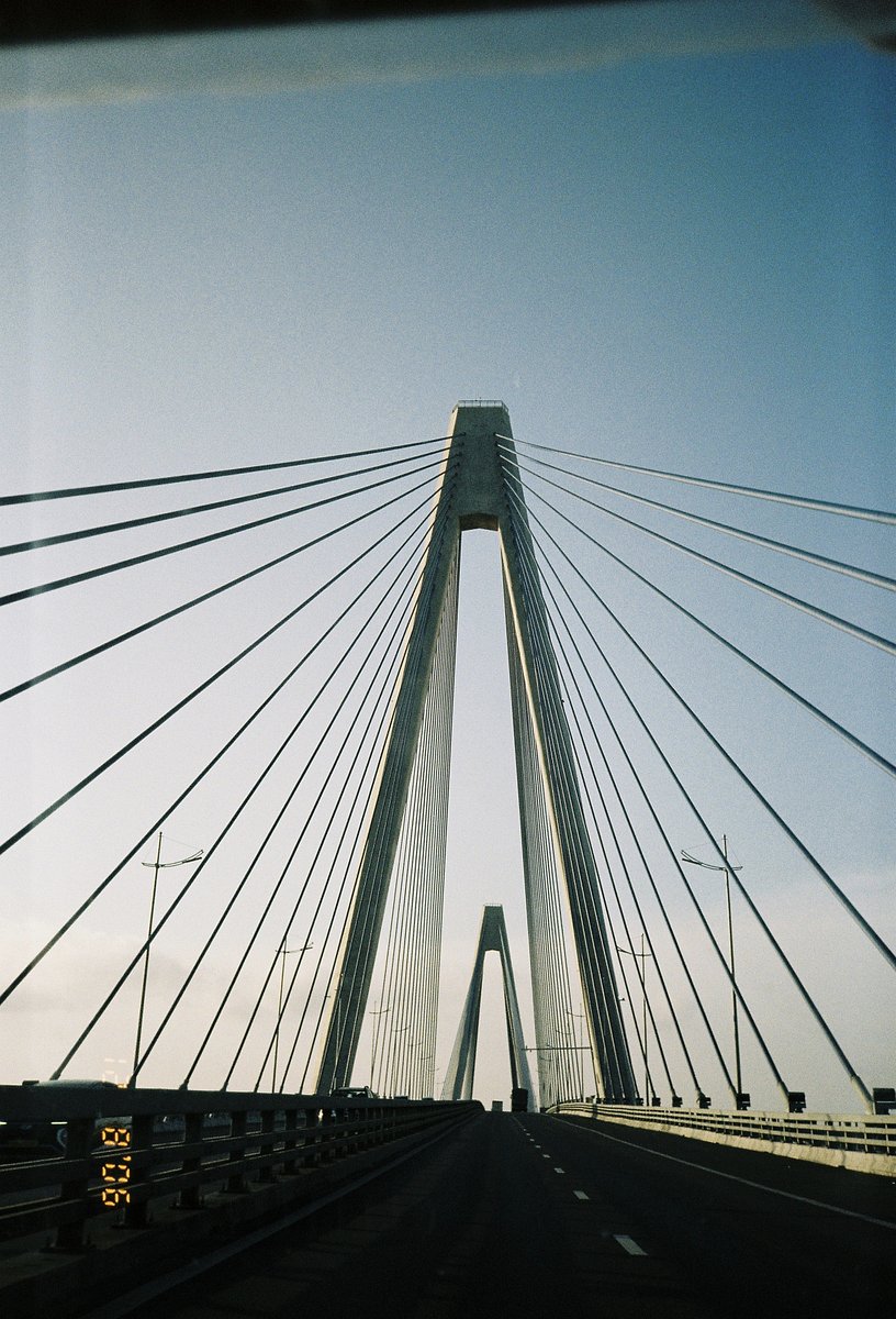 Camera: Minolta Pico Freedom Escort Riva · Lomography