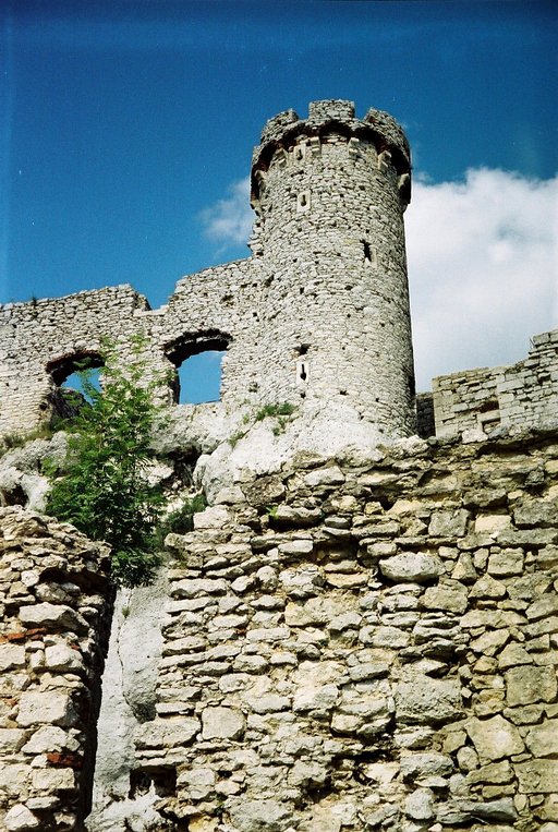 A new LOMO-walk: Ogrodzieniec Castle (LOMO Smena 8M)