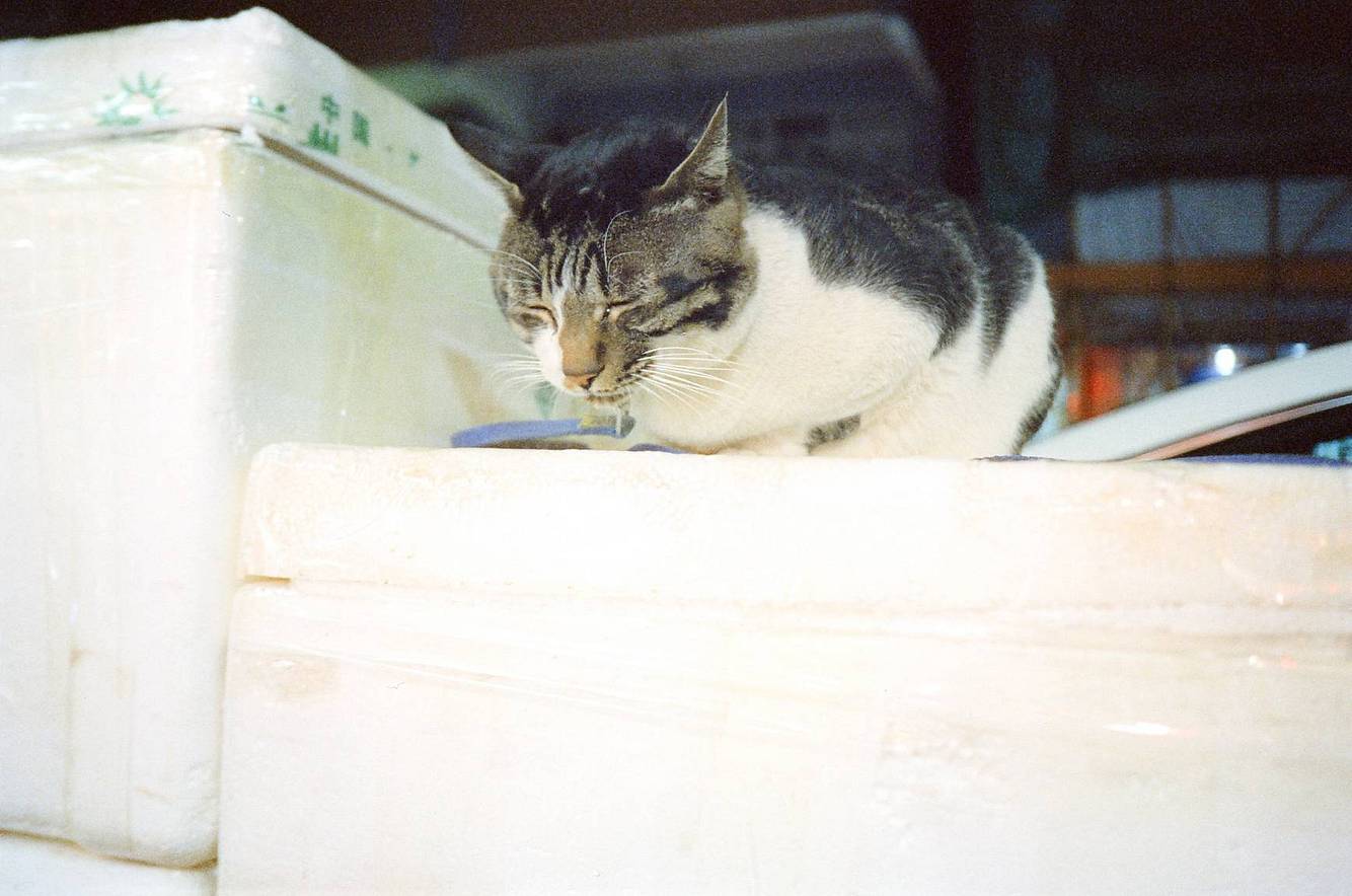© Scofield Chan | 用 Lomo MC-A 135 全自动随拍胶片相机 拍摄
