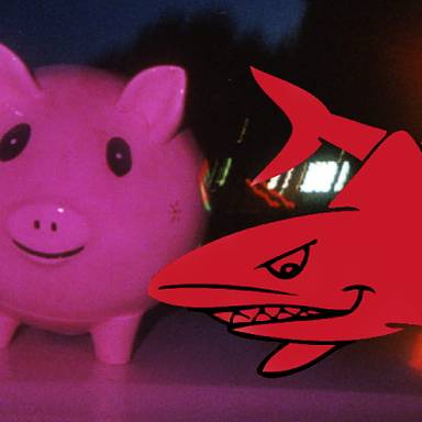 rabidshark