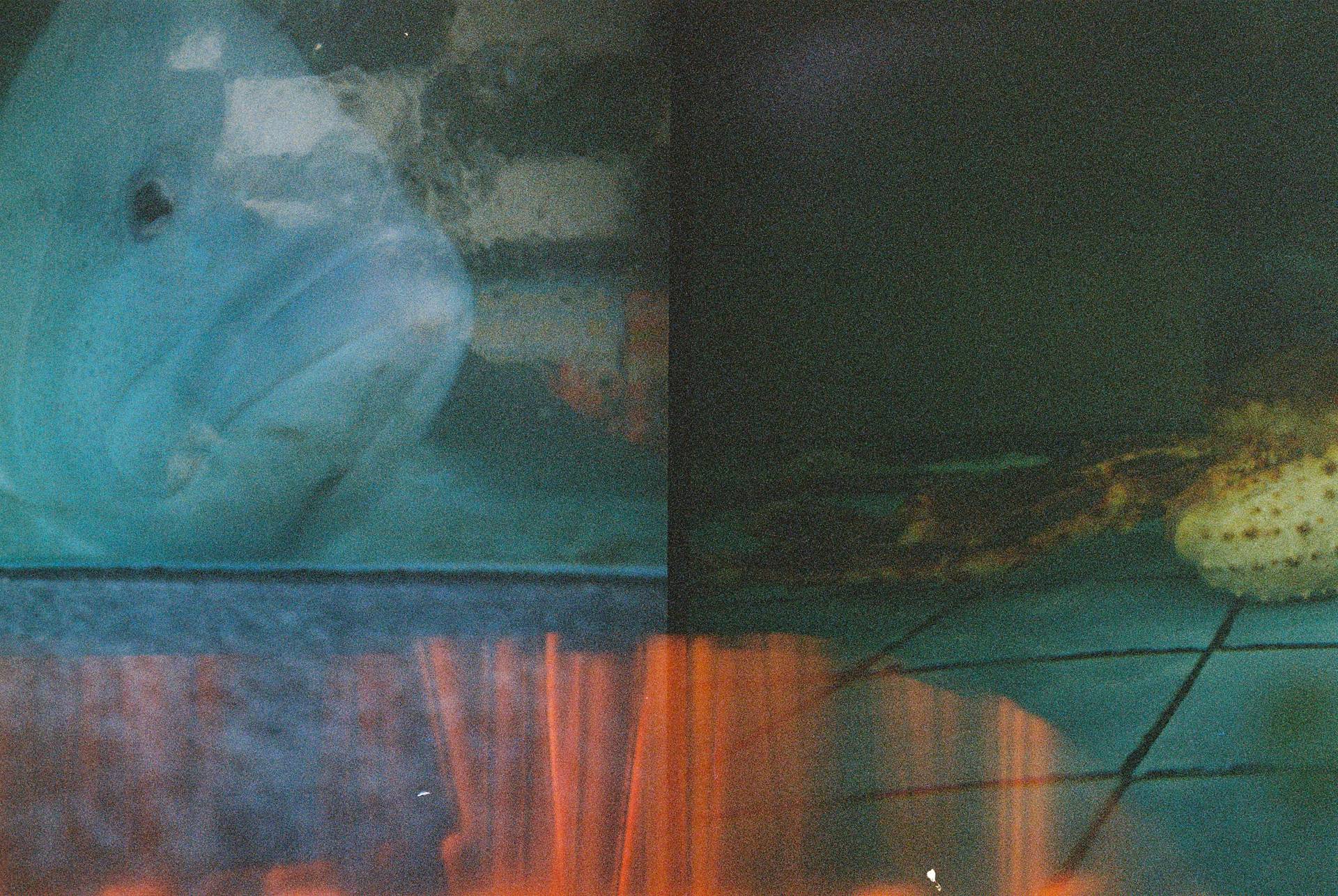 深圳 × 青岛 | © 郑淳文、Augenstern.｜Lomography Color Negative 400 红调负片
