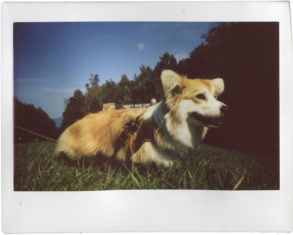 由 Ben Fraternale 使用 Lomo'Instant Wide Glass 拍摄，画面中人物：Anna Katarina, Lauren Fraternale 和 Fern