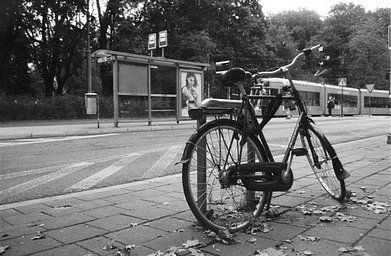 Camera: ZEISS IKON Contaflex prima · Lomography