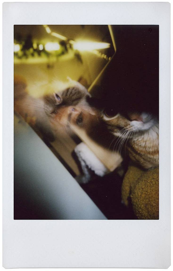 © Kay | Lomo'Instant Automat Glass 广角玻璃镜头拍立得相机－雪山特别版