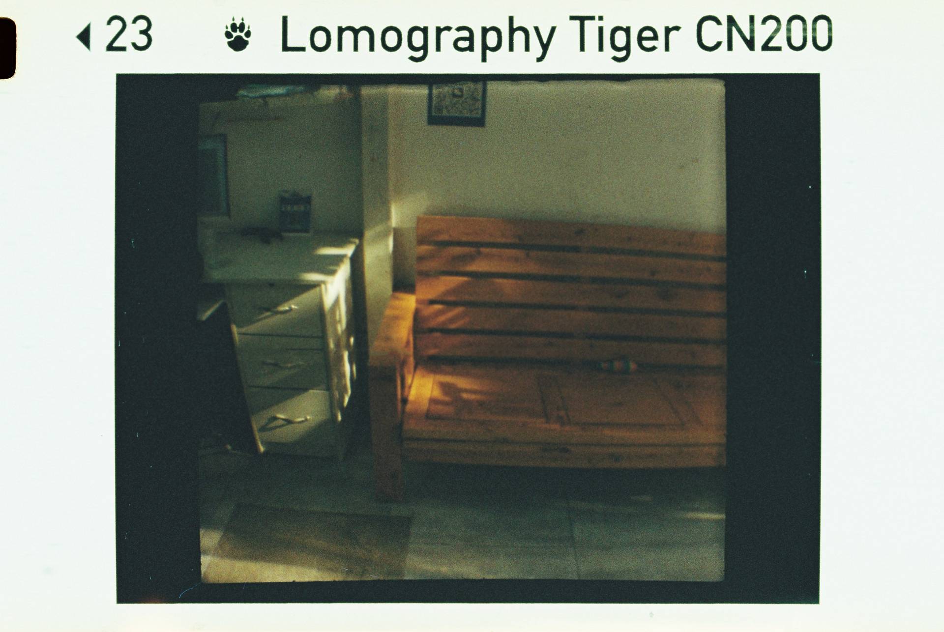 © 炉膛 | Diana Byby 110 胶片相机 &amp; Lomography Color Tiger 200 彩色负片