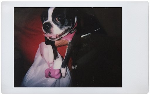 Lomo'Instant: How to Make Instant Connections