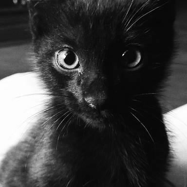 oneeyed