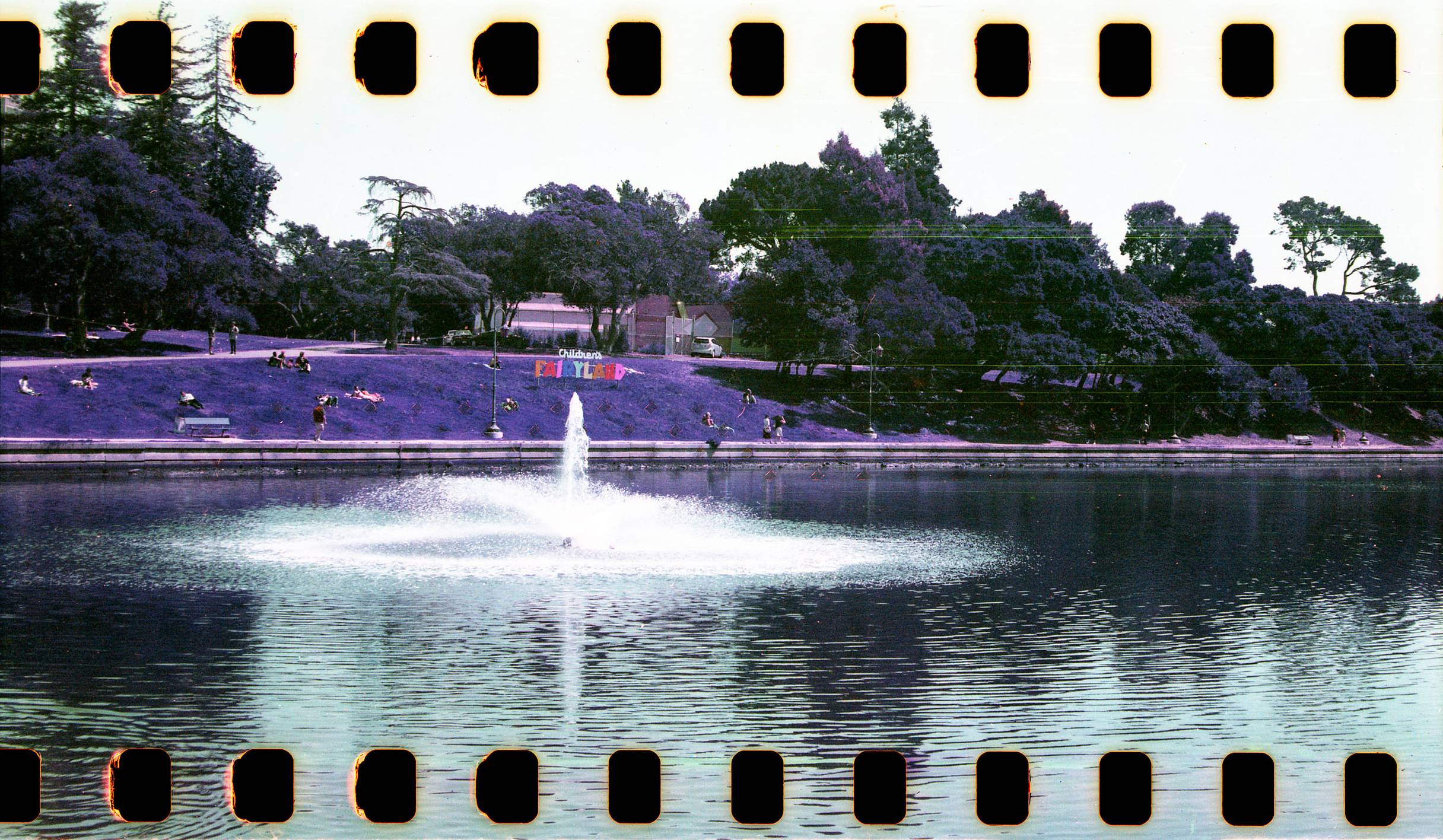 ロモクロームグラスに透かして: Lomochrome Purple 400レビュー
