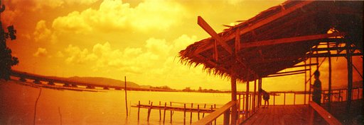 Easy Redscale DIY