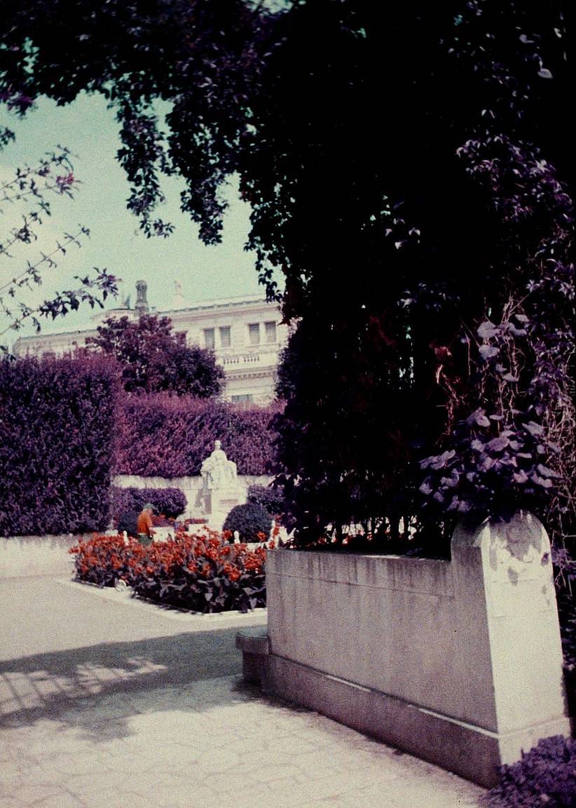 Credits: Elisa Parrino | 使用 Simple Use 拍拍乐半格畅拍胶片相机 搭配 LomoChrome Classicolor ISO 200 135 经典版彩色负片胶卷 、LomoChrome Metropolis ISO 100–400 135 大都会胶卷 、LomoChrome Purple ISO 100–400 135 紫调负片 Pétillant 汽泡特別版 与 Lomography B&W Lady Grey ISO 400 135 黑白胶卷 拍摄