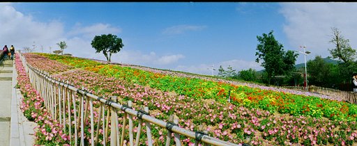 Kodak Ultramax 400: Your Round-the-Clock Shooting Partner